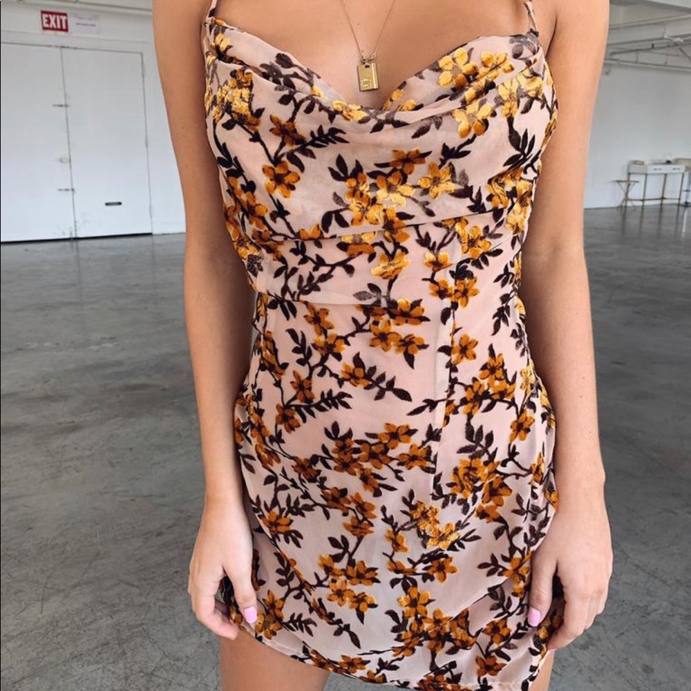 NWT tiger mist kahlo dress